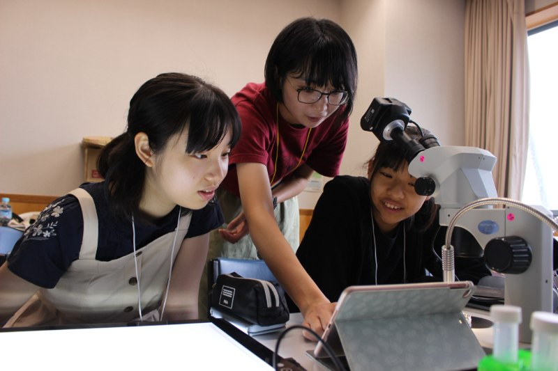 organization cover image