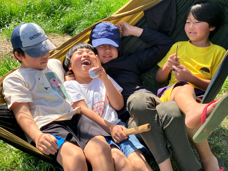 organization cover image