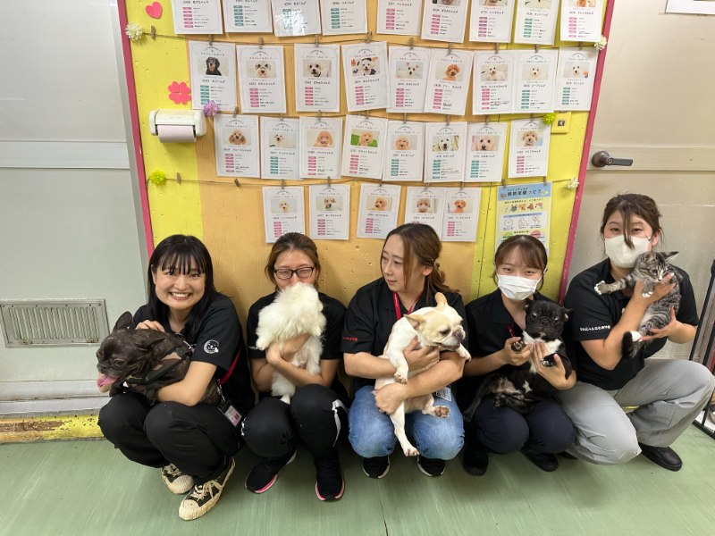 organization cover image