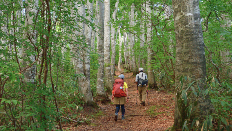 organization cover image