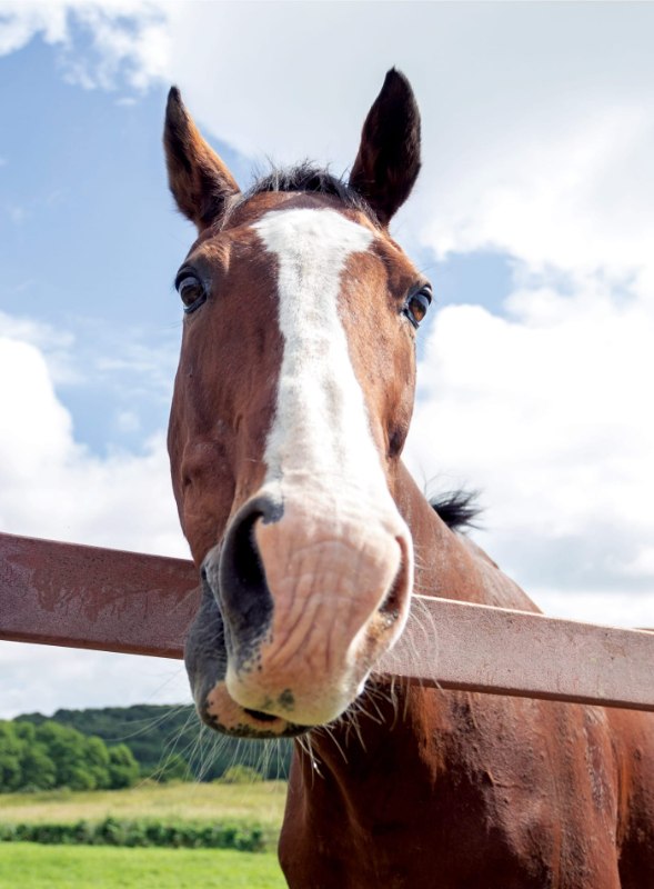 organization cover image