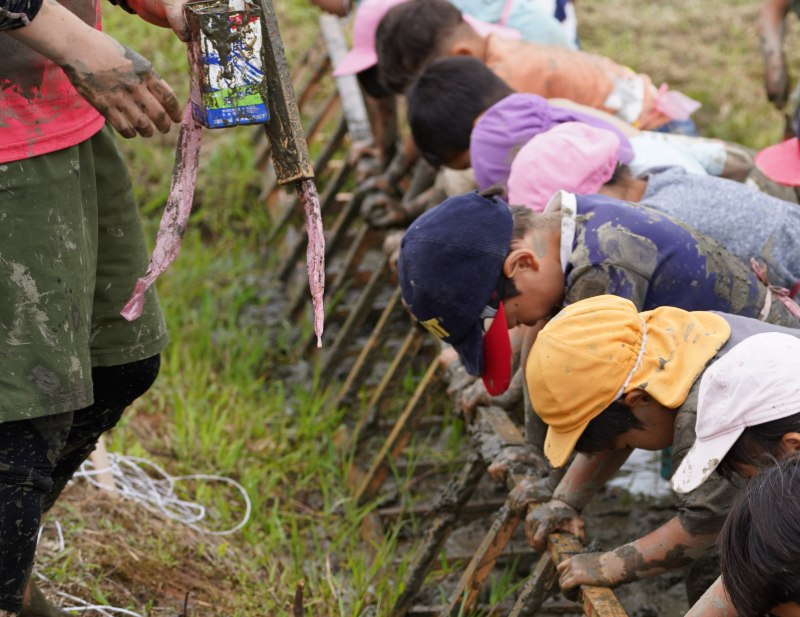 organization cover image