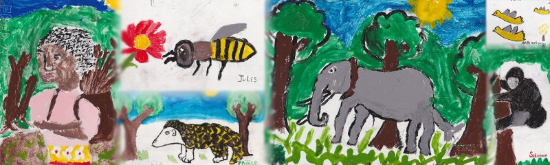 organization cover image
