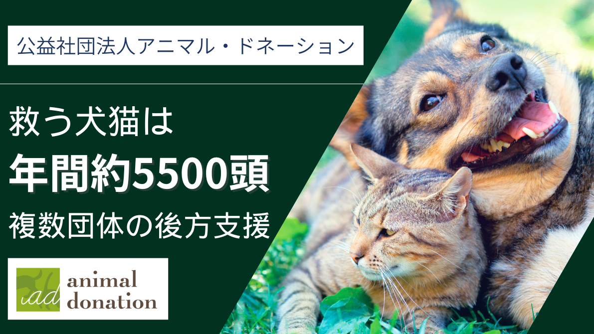 声なき動物たちのために届ける希望_年間5500頭を救っています_公益社団法人アニマル・ドネーション
