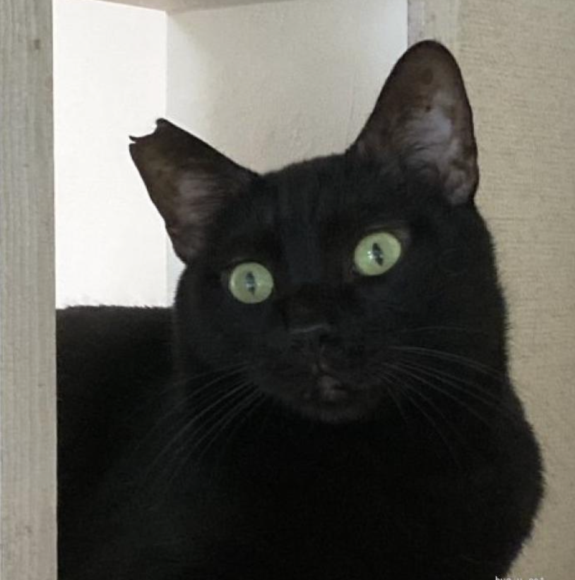 応援サポーター(10,000円)