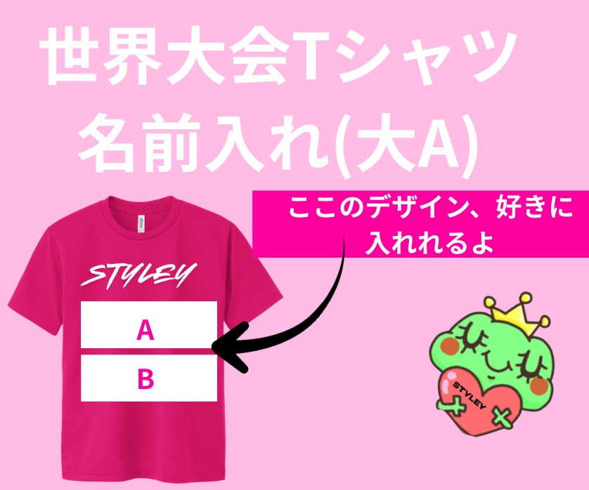 STYLEYをとにかく応援(Tシャツデザイン自由大A)