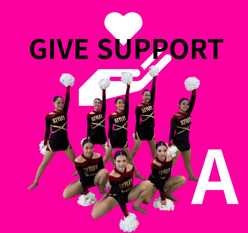 STYLEYをとにかく応援A