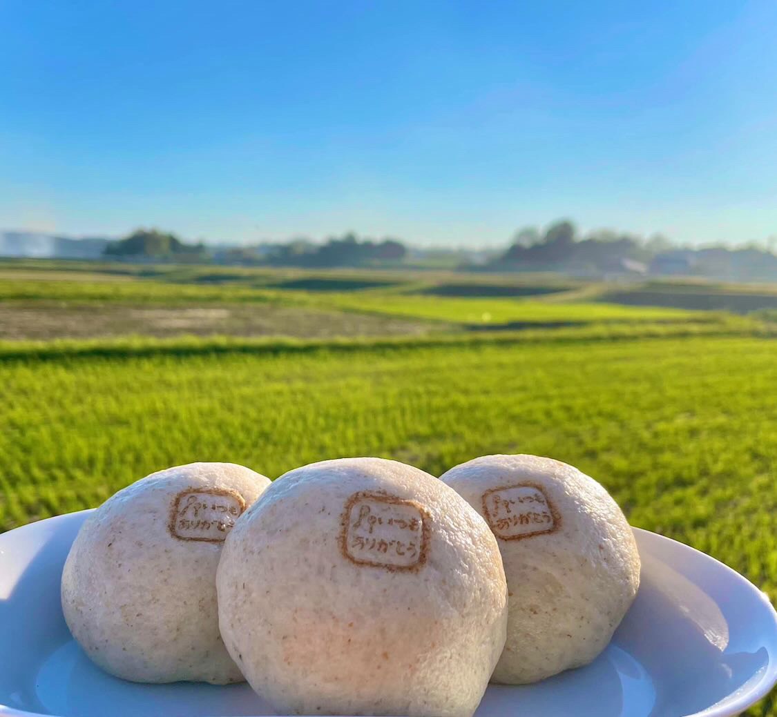 おさじの工房のさといも豚まん10個セット(中華味×5、味噌味×5)+高校生実行委員会からのお礼メール