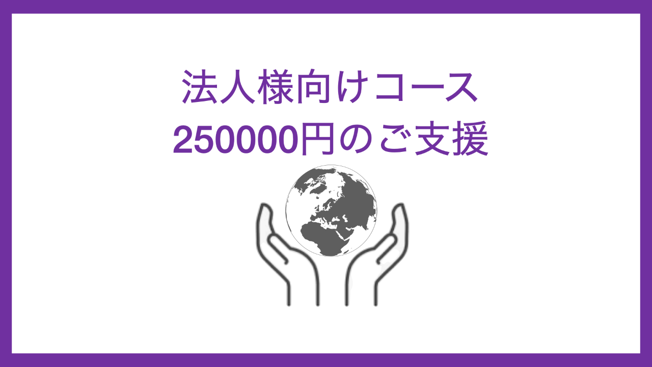 法人様向け250000円コース