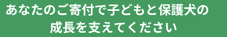 あなたのご寄付で子どもと保護犬の成長を支えてください