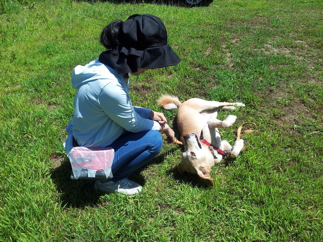 芝生の上でリラックスする犬と、不登校の子ども