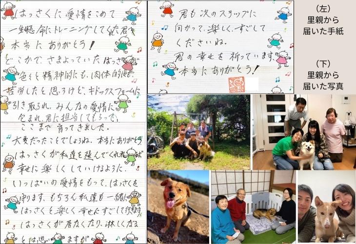 保護犬の里親からの手紙, 保護犬の里親からの写真