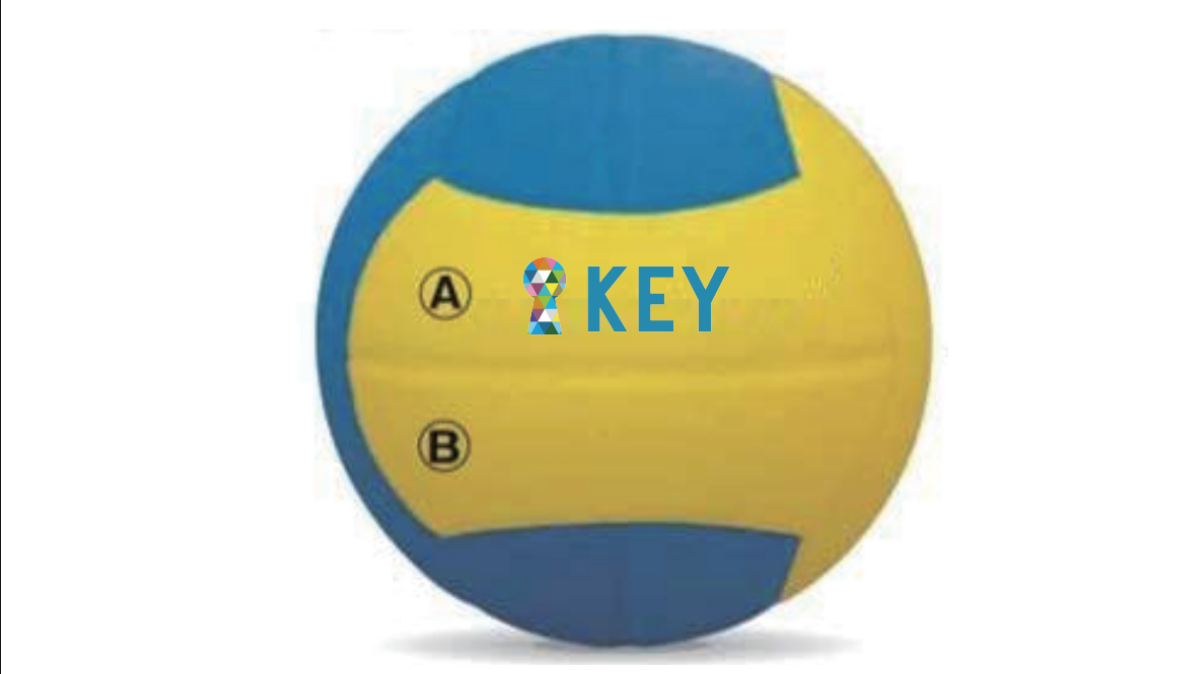 子どもたちが使用するボールにお名前・社名を入れて1球プレゼントできる権