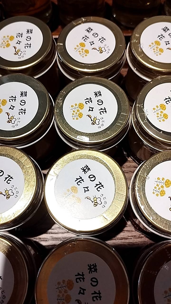 BEE　HAPPY　ライトプラン