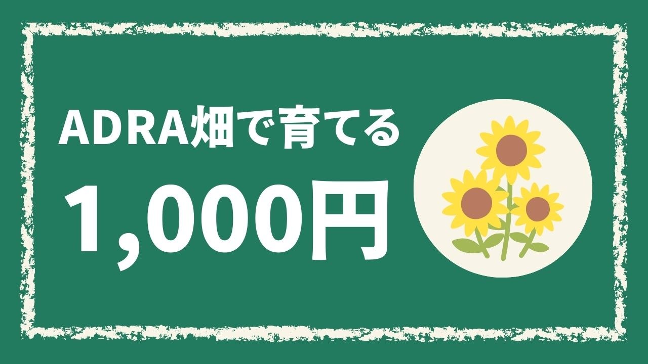 ADRA畑で育てる(1,000円)