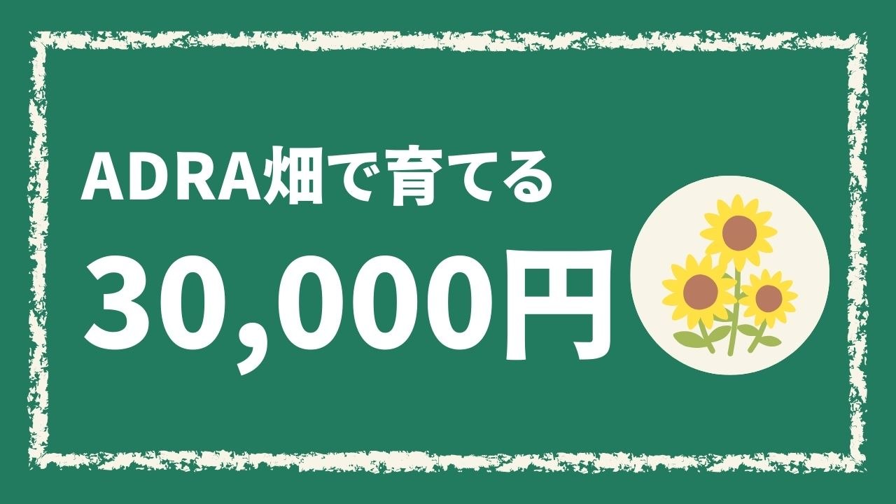 ADRA畑で育てる（30,000円）