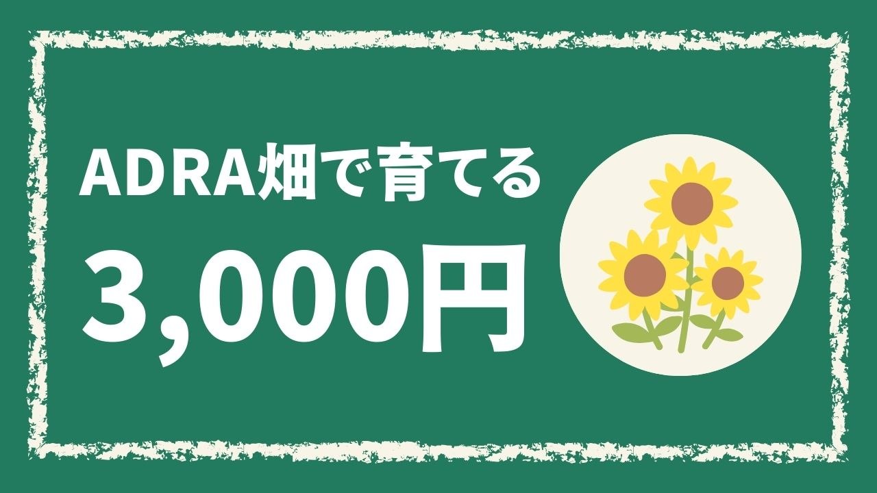 ADRA畑で育てる(3,000円)