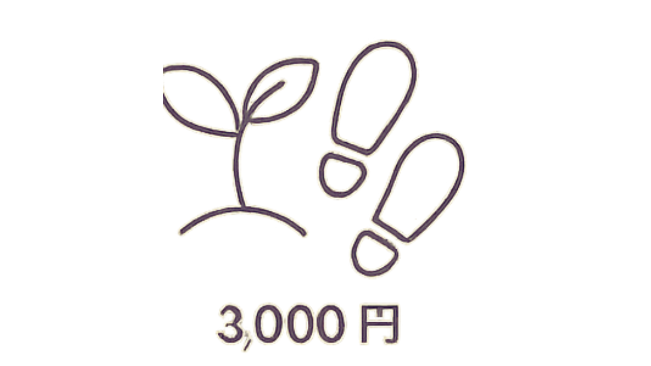 挑戦の一歩応援プラン