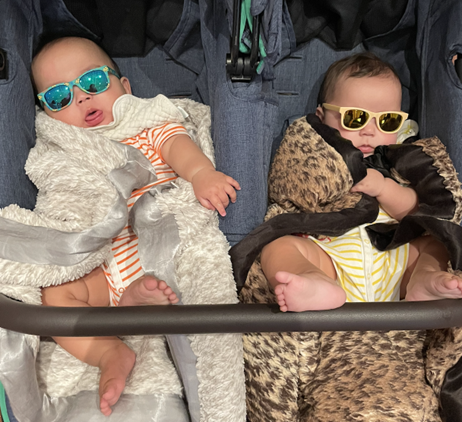 日本館70周年記念、お誕生日カード・コース