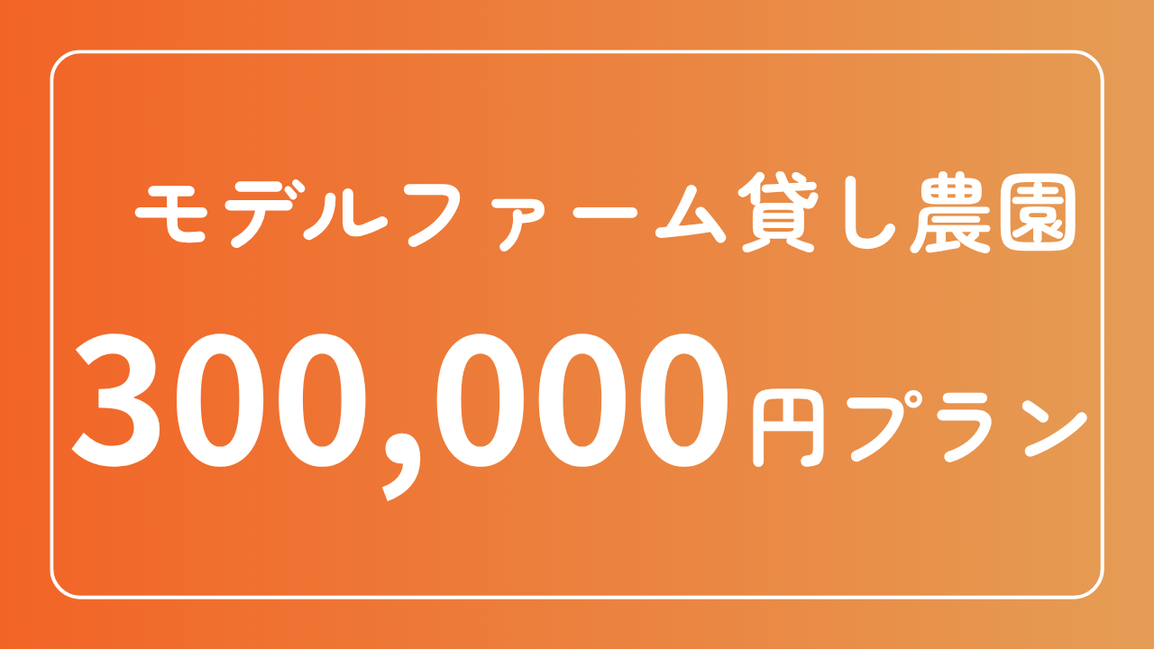 300,000円