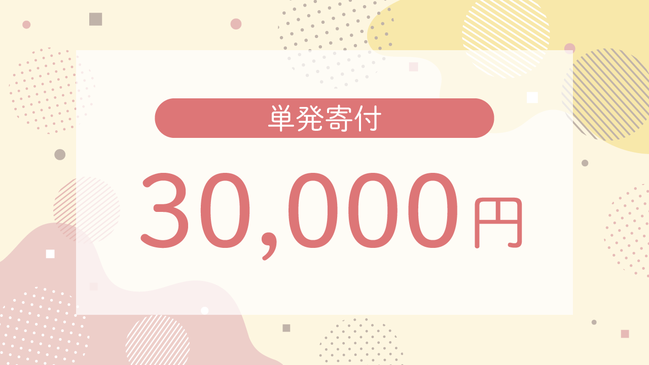 単発寄付 30,000円・リターンはいりません!応援コース