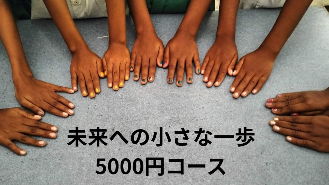 5,000円コース: 「未来への小さな一歩」【寄付金控除】