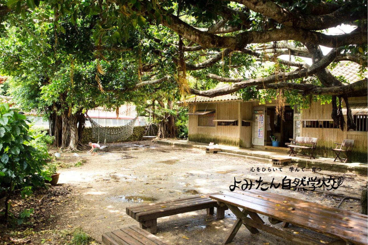 「よみたん自然学校」賛助会員（年間応援）の募集です！