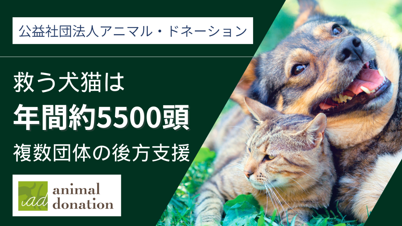 声なき動物たちのために届ける希望_年間5500頭を救っています_公益社団法人アニマル・ドネーション