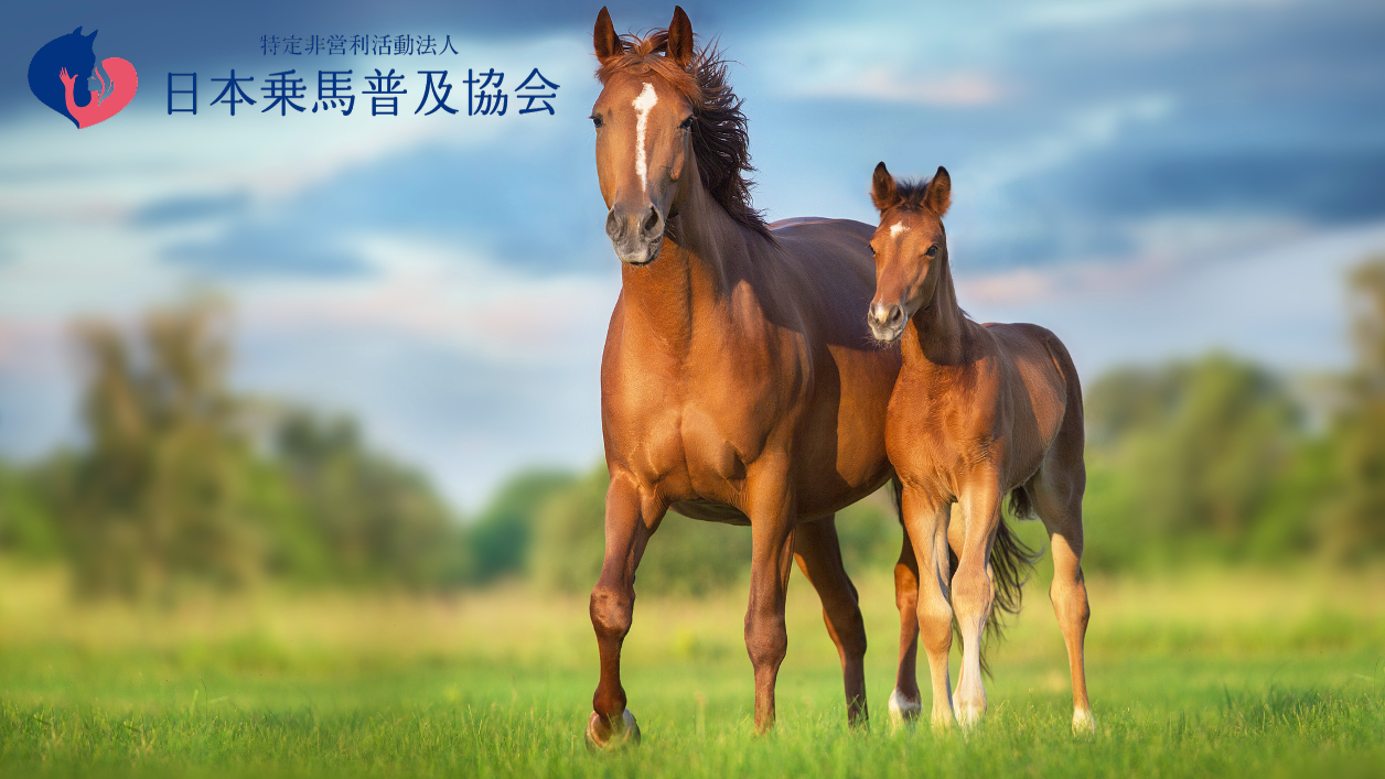 引退競走馬に輝く第二の人生を。あなたの寄付で未来を変える。