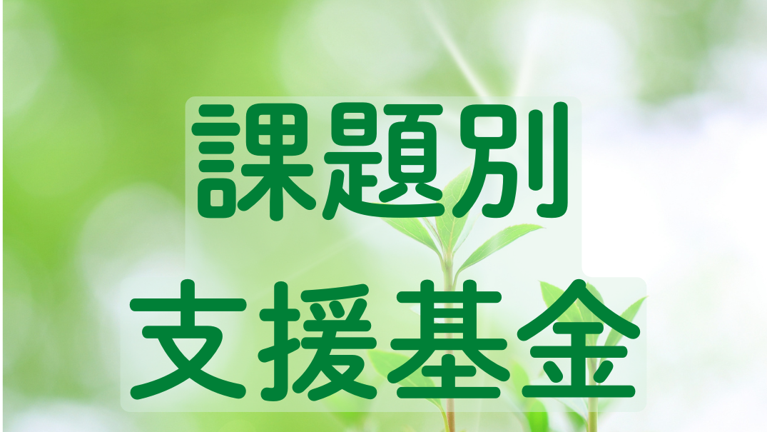 課題別支援基金