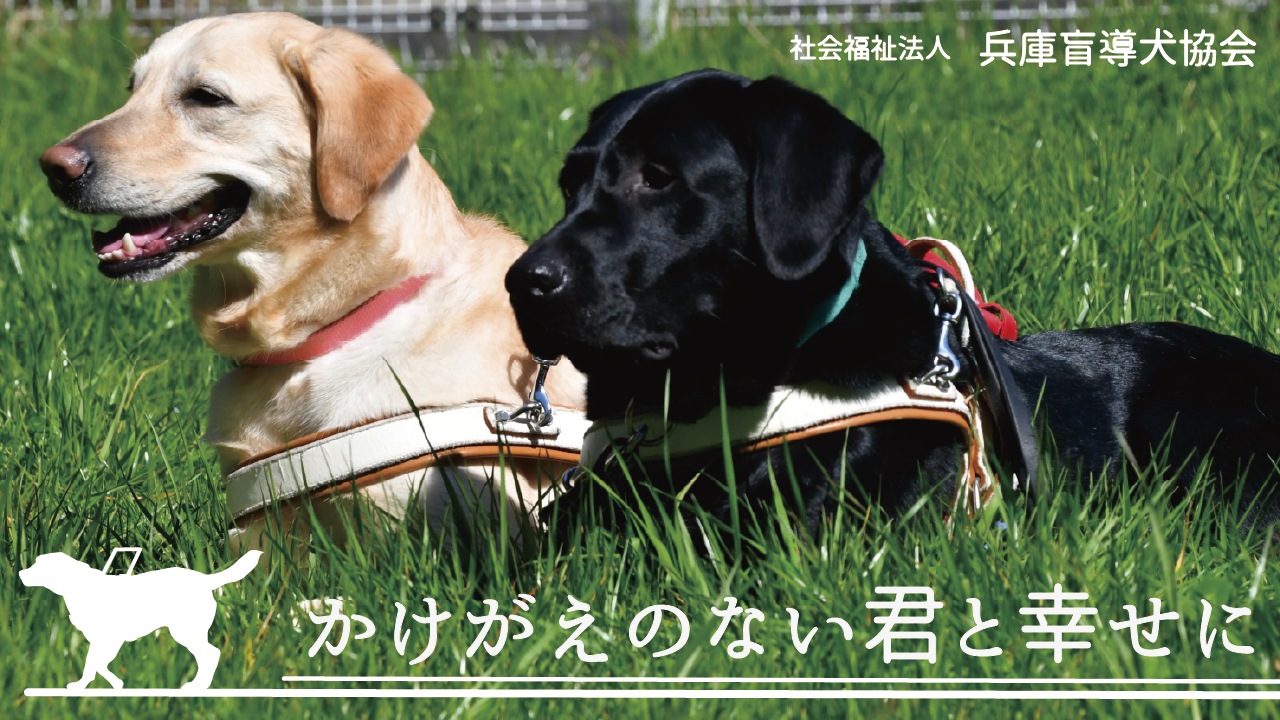 img-cover
