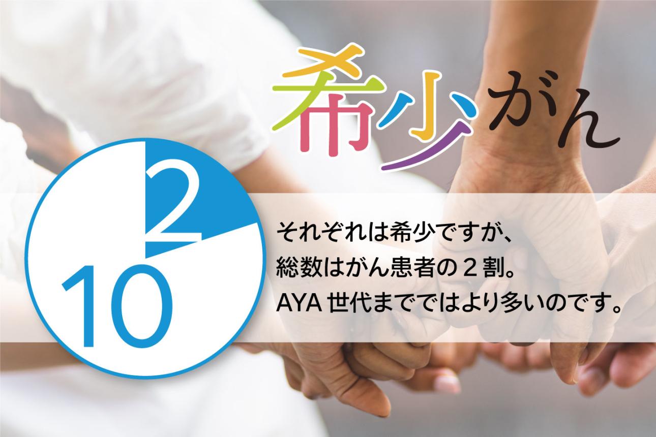 img-cover
