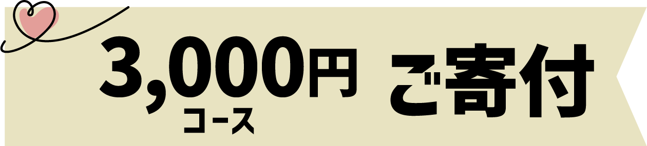 3,000円【寄付】コース