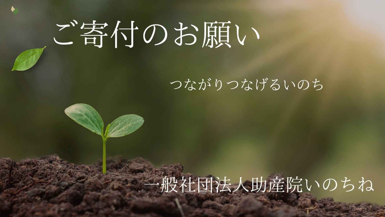 img-cover