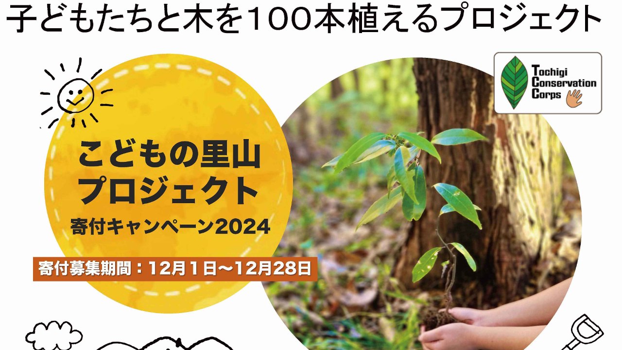 img-cover