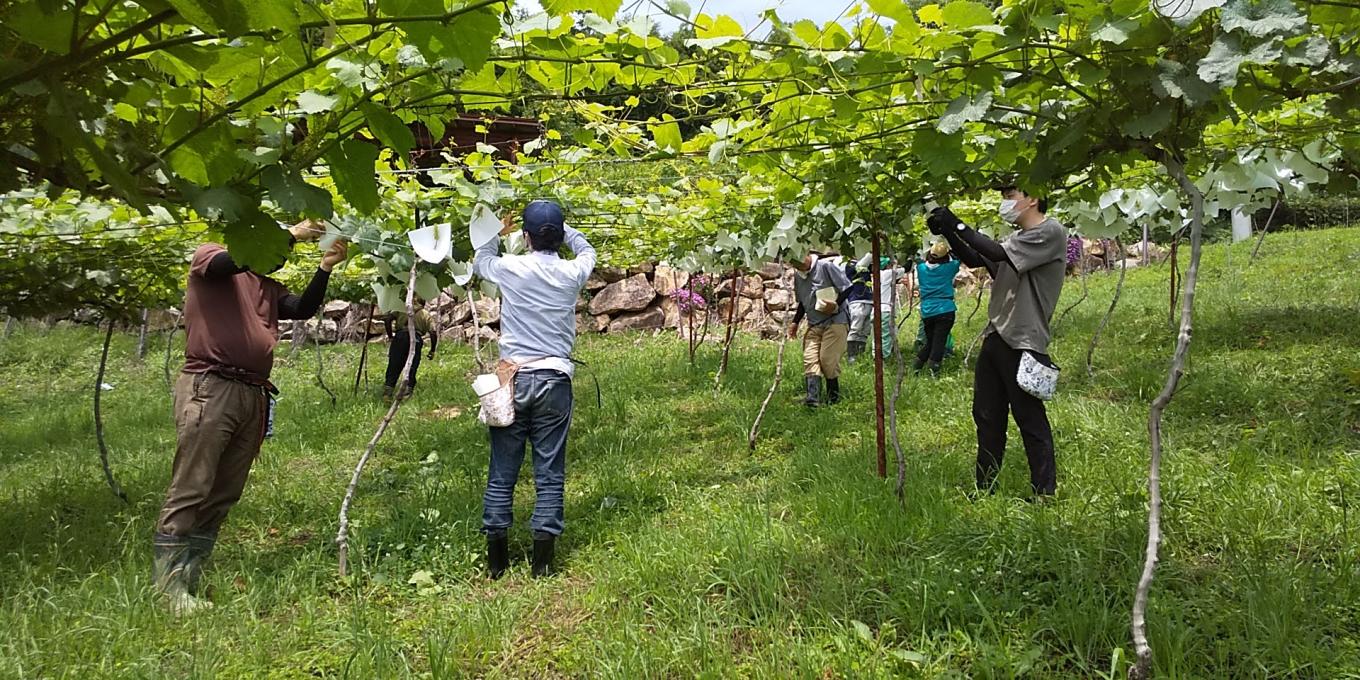 困難な状況にある若者たちの居場所・社会参加へのサポートを！