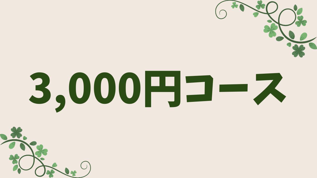 3,000円コース