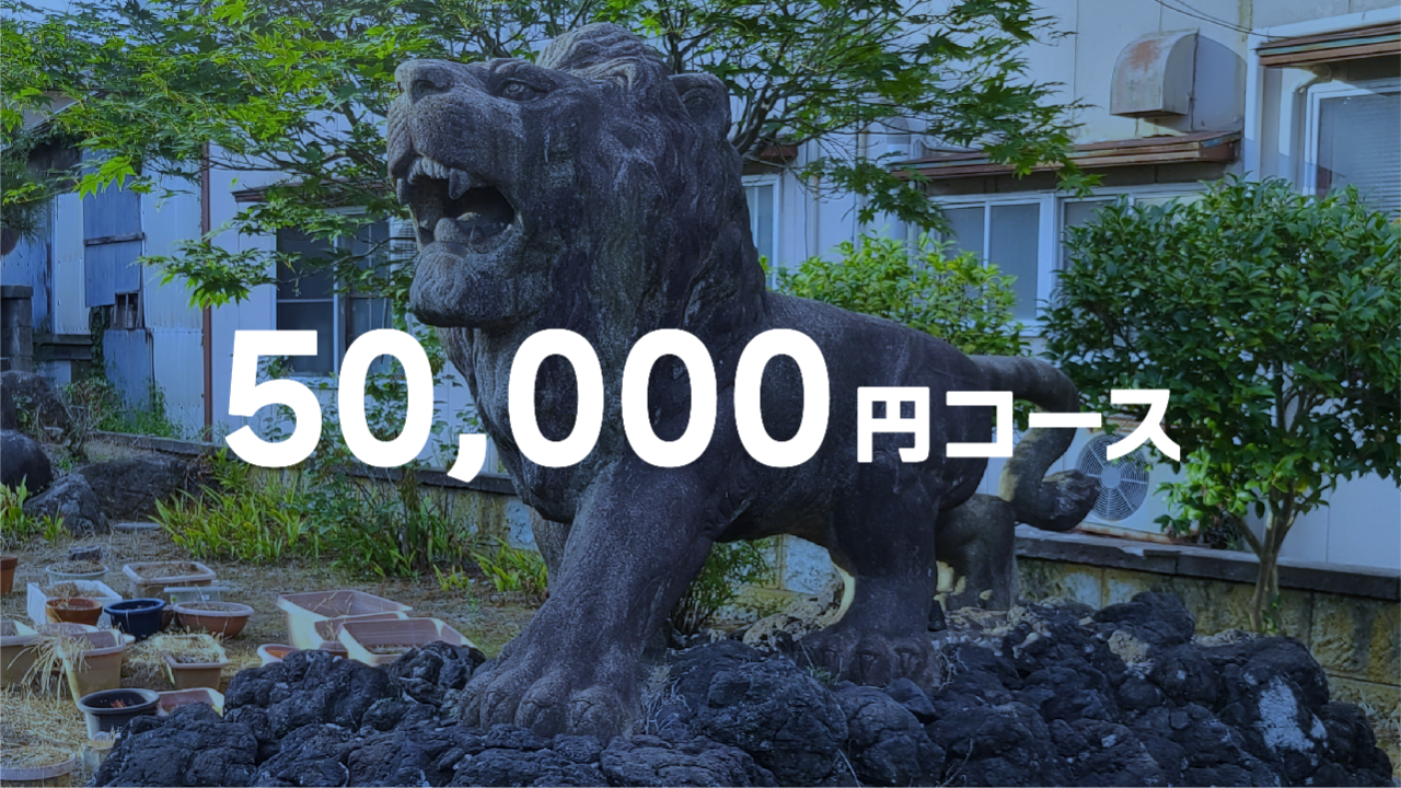 50,000円コース