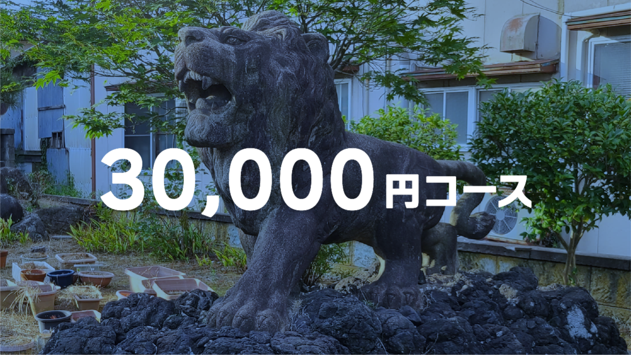 30,000円コース