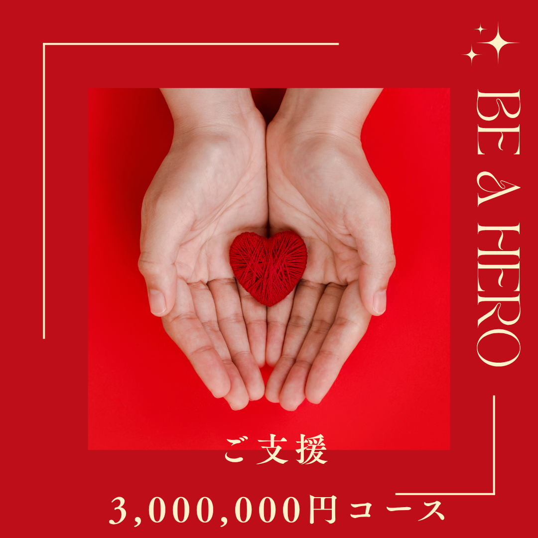 300万円ご支援