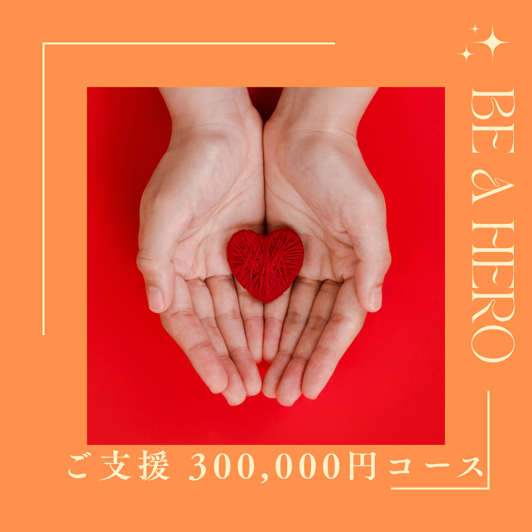 30万円ご支援