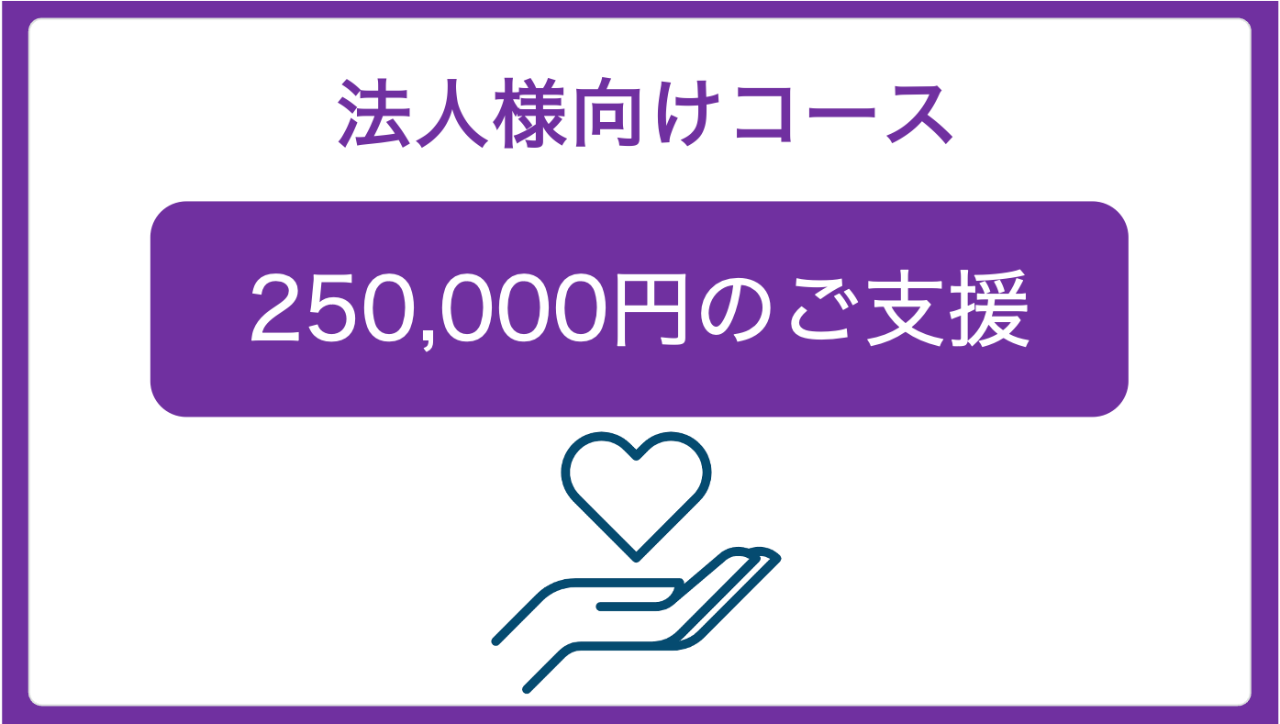 【法人様向け 250,000円コース】