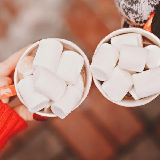 本1冊+マシュマロ