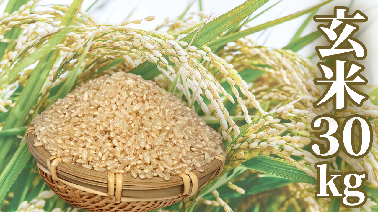 100,000円 玄米30kgコース