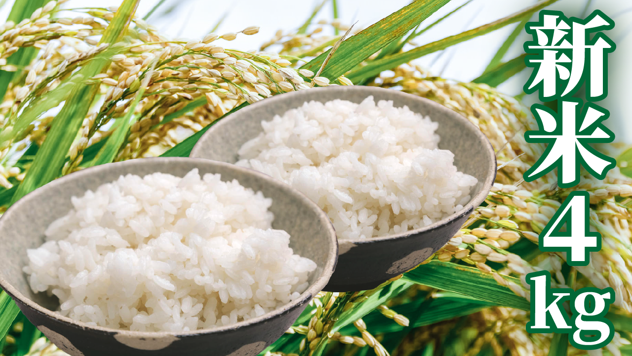 50,000円 新米4kgコース