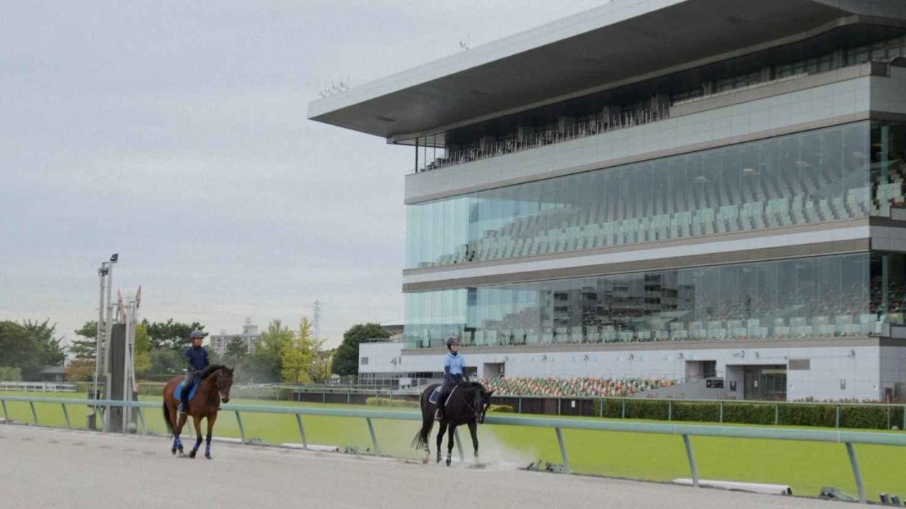 引退競走馬ドキュメンタリー「Life After Racing」｜映像をより多くの人へ届けるために