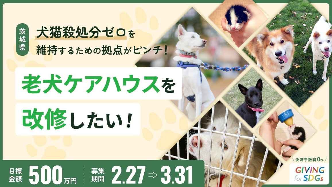 活動報告 | 茨城県の犬猫殺処分ゼロを維持するための拠点がピンチ！老犬ケアハウスを改修したい！