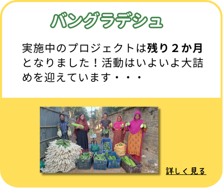 バングラデシュ：実施中のプロジェクトは残り２か月となりました！活動はいよいよ大詰めを迎えています・・・。（クリックして詳しく見る）