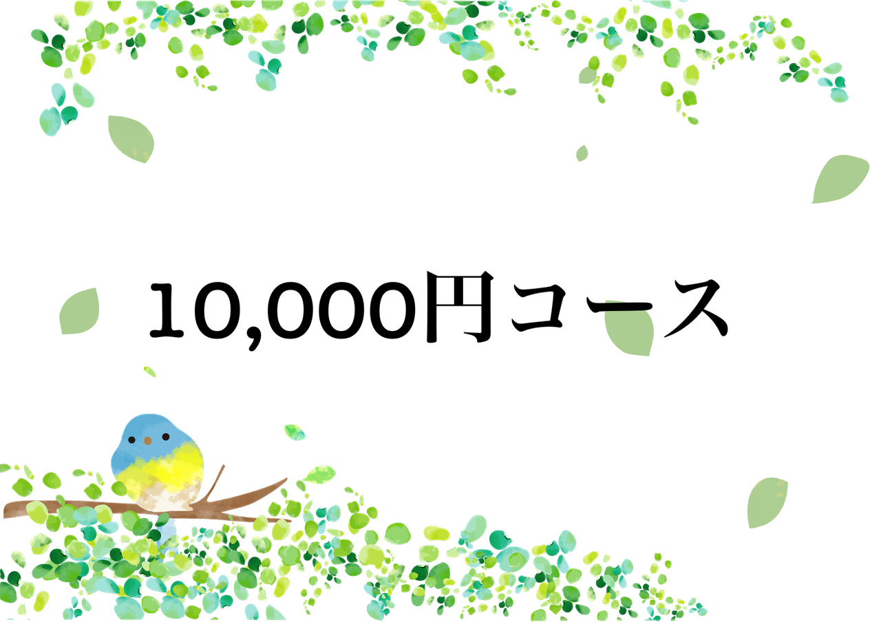 10,000円コース