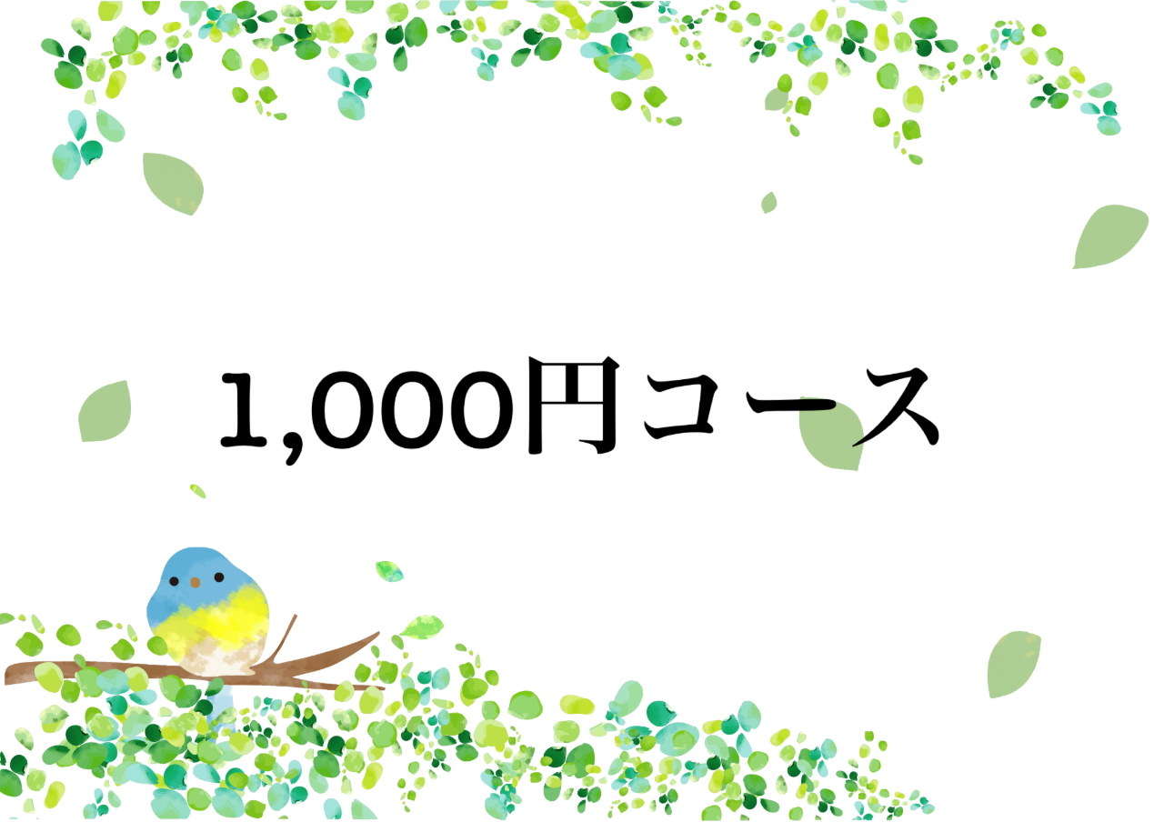 1,000円コース